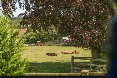 1315591-17-685db3...