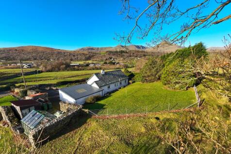 Back Garden