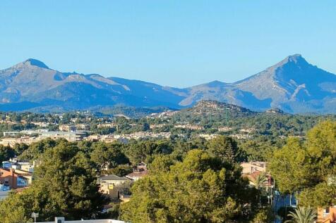 WhatsApp Image 2025-08-28 at 3.20.35 PM (1)