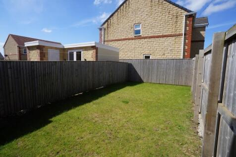 DSC06200 (1024x680).jpg