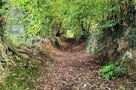 Track up to top Land and Orchards
