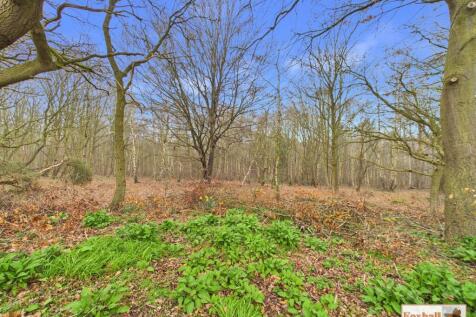 WOOD VIEW