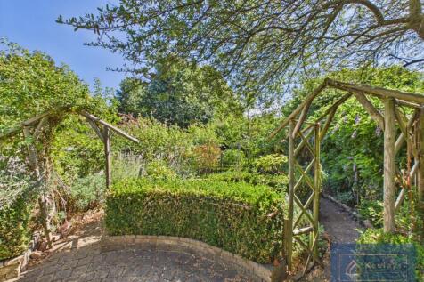 Back Garden