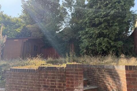 IMG_6982.jpeg