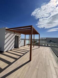 Roof Terrace