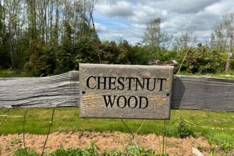 chestnut wood 6.jpg