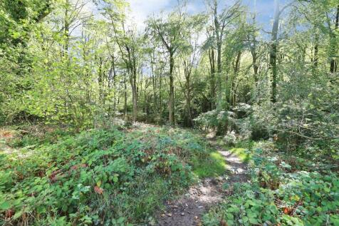 Property Image 36