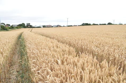 Farm Land for sale Image 3