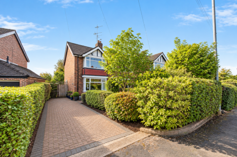 Sunny Suburban Garden And Driveway T202610151623.png