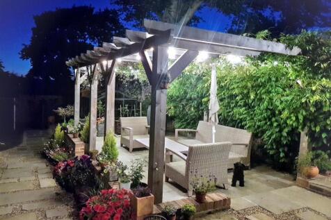 Nighttime garden