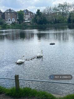 Hampstead Heath On Your Doorstep
