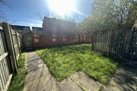 yard.JPG