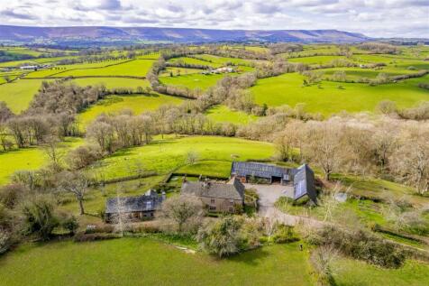 DJI_0972.jpg