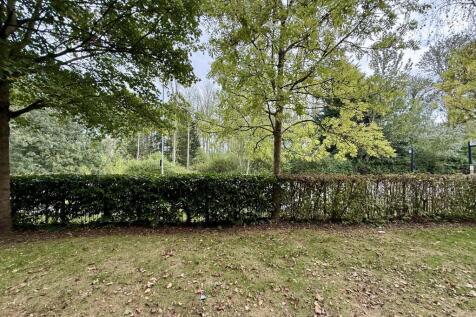 Patio View