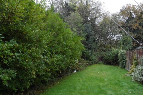 alexander road 47  garden.JPG