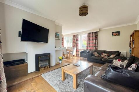IMG_0401.jpg