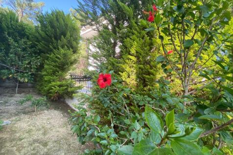 Property Image 67