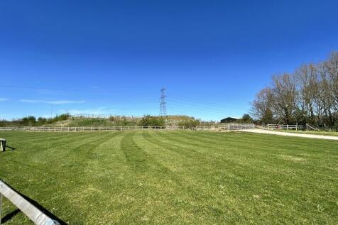 Greenery Opposite