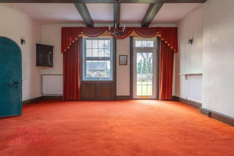 20250321-20250321-DSC07298 (2).jpg