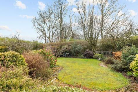 Garden 7