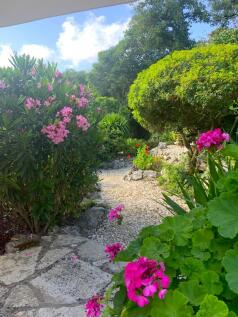 Garden stone pathway