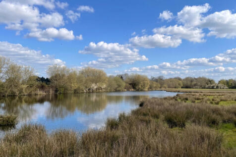 Land with a large, natural rainwater pond.