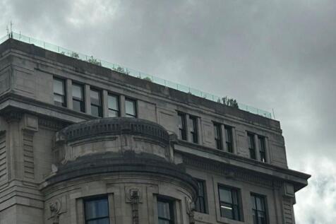 Rooftop terrace.jpg