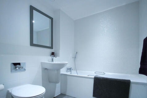 58olympushsebathroomsml