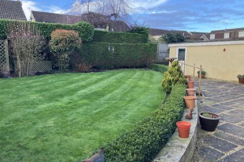 back garden.jpeg