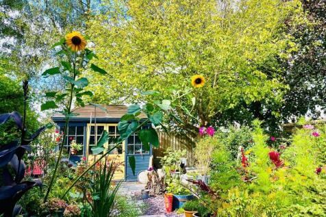 Garden in the summer.jpeg