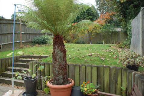 Property Image 11