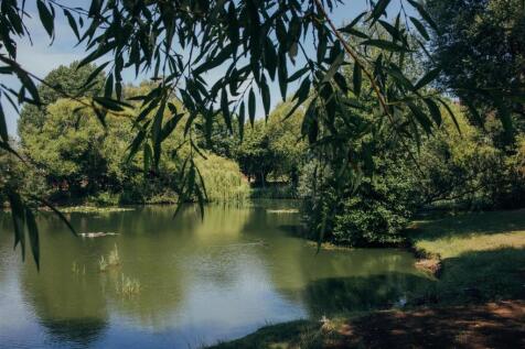 Langney Conservation Pond