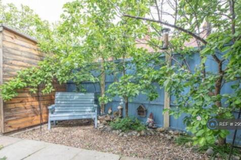 Garden With Shed