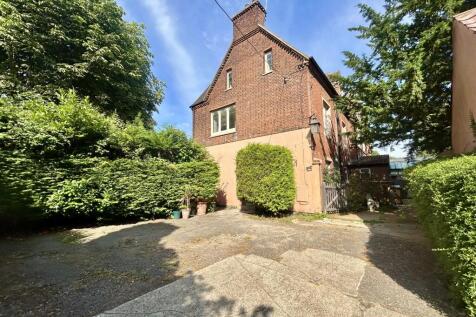 22  Medium  T202507021026.jpg