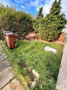 IMG-20251211-WA00...