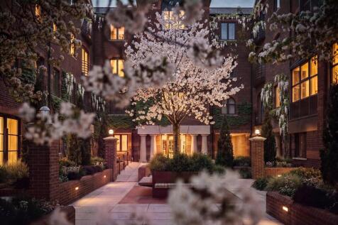 Courtyard Garden