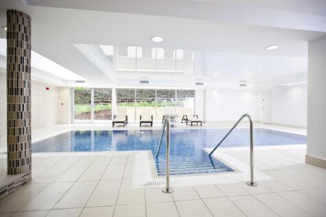 P8AKll1PRkKQeEZlPUbhsQ (1).jpg