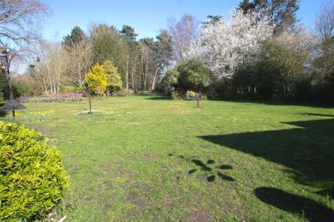 GARDEN11.jpg