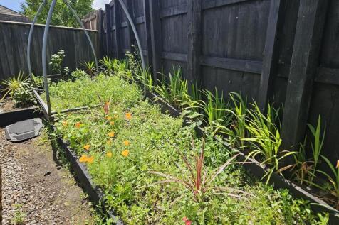 Wild Flower Garden.jpg