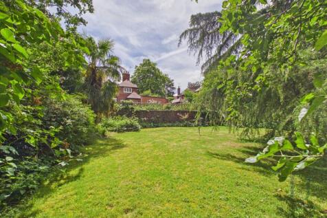 Property Image 43