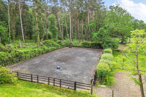 View of Arena from Kitchen