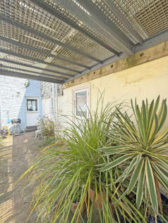 19 resized_image00052