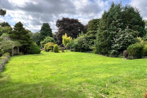 PHOTO-2025-07-29-10-22-23 4.jpeg