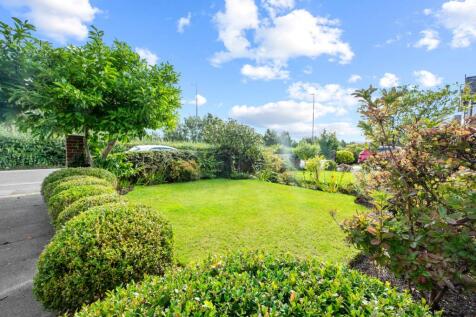 Property Image 41