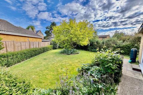 Garden &amp; Magnolia Tree