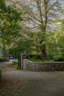 314149 - _A741261.jpg