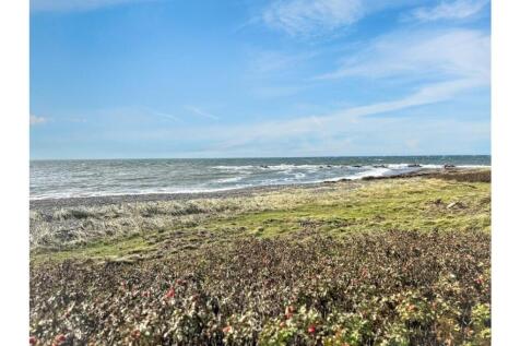 General Surroundings