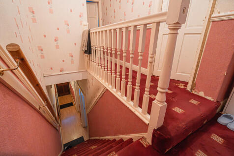 20251126-DSC07323...