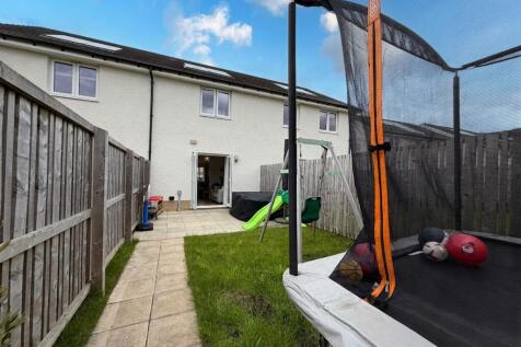 Back Garden