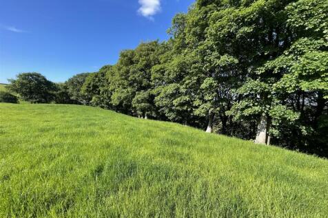 ADDITIONAL PHOTOGRAPH